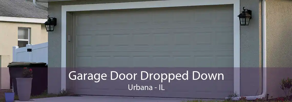 Garage Door Dropped Down Urbana - IL